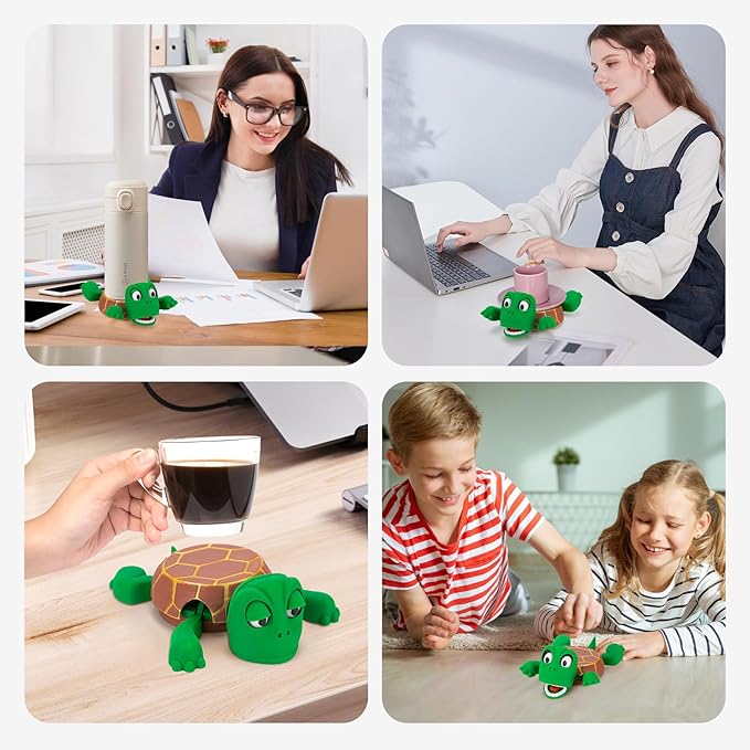 Turtle Coasters
