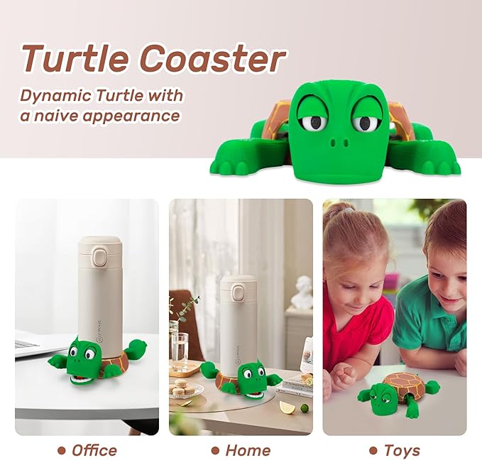 Turtle Coasters