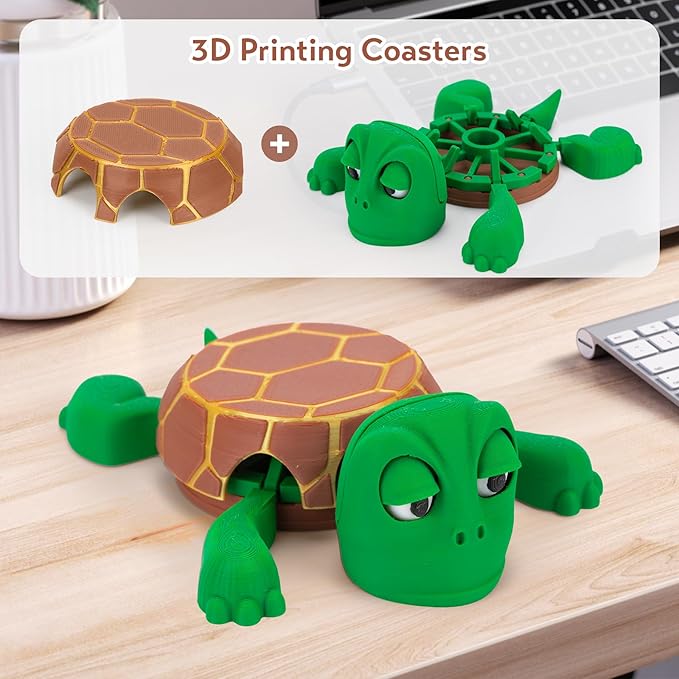 Turtle Coasters