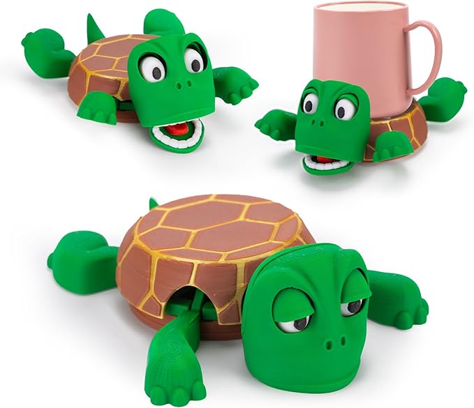 Turtle Coasters