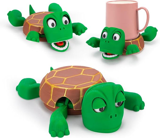 Turtle Coasters